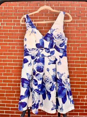 Blue & White Floral V-Neck Fit and Flare Dress